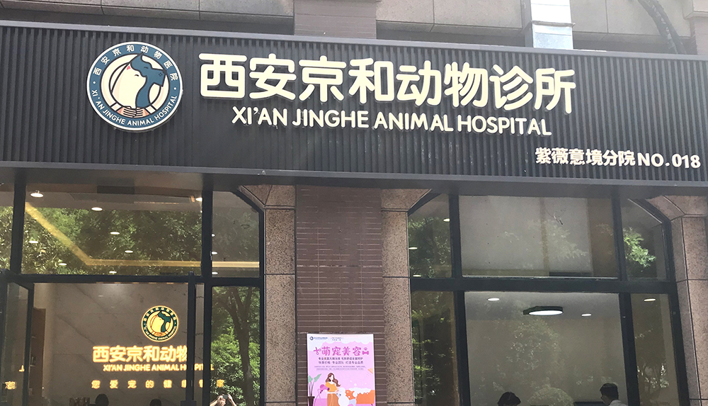 陜西西安京臻動物診所