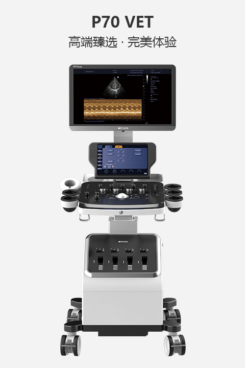 高端獸用彩色多普勒超聲診斷系統